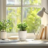 T4U Mini Self Watering Plant Pots 6 Pack 10cm White Plastic Indoor Planters view 7