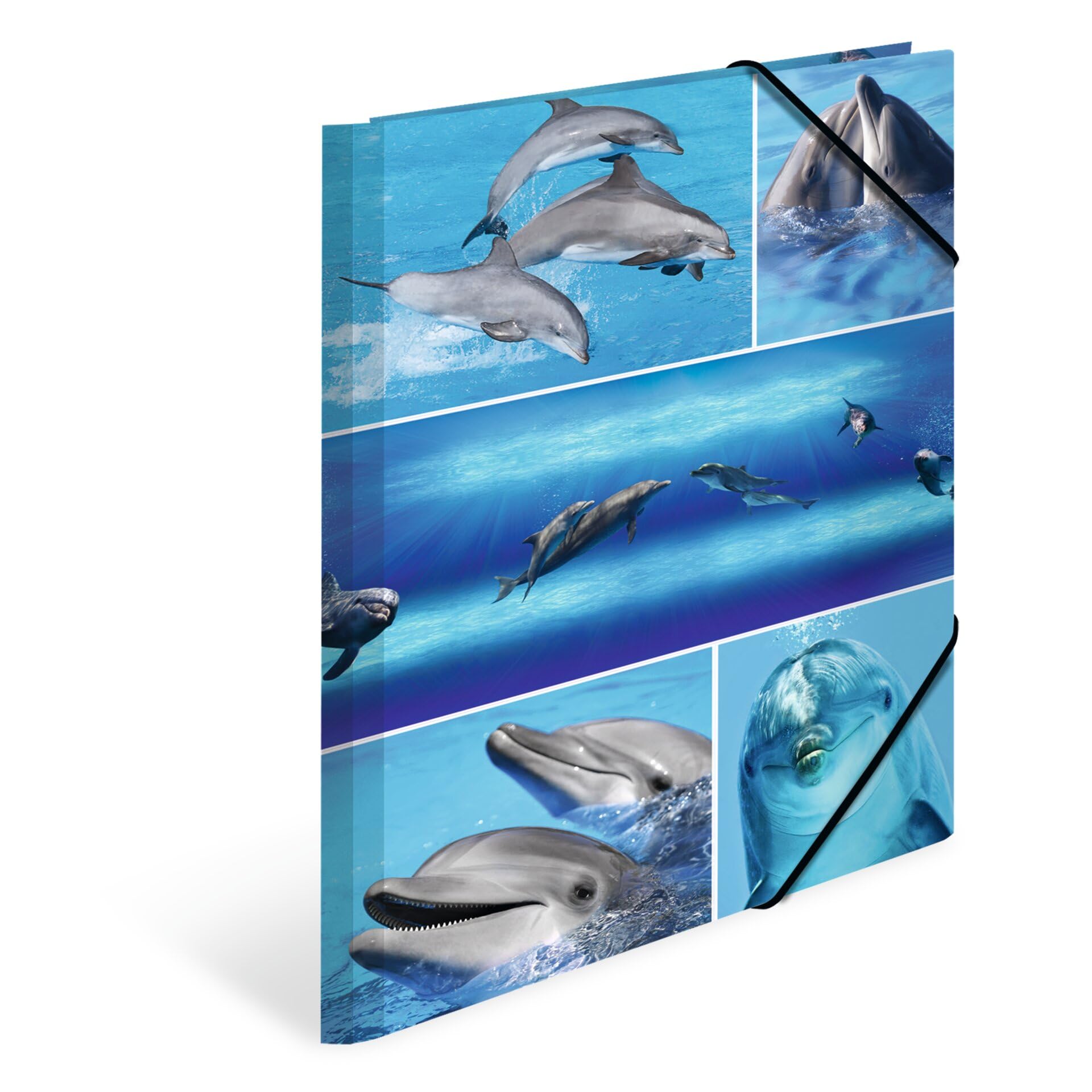 HERMA Elastic Folder Animals with Dolphins Motif, A4, Sturdy Cardboard, with Inner Print, 1 Span Folder