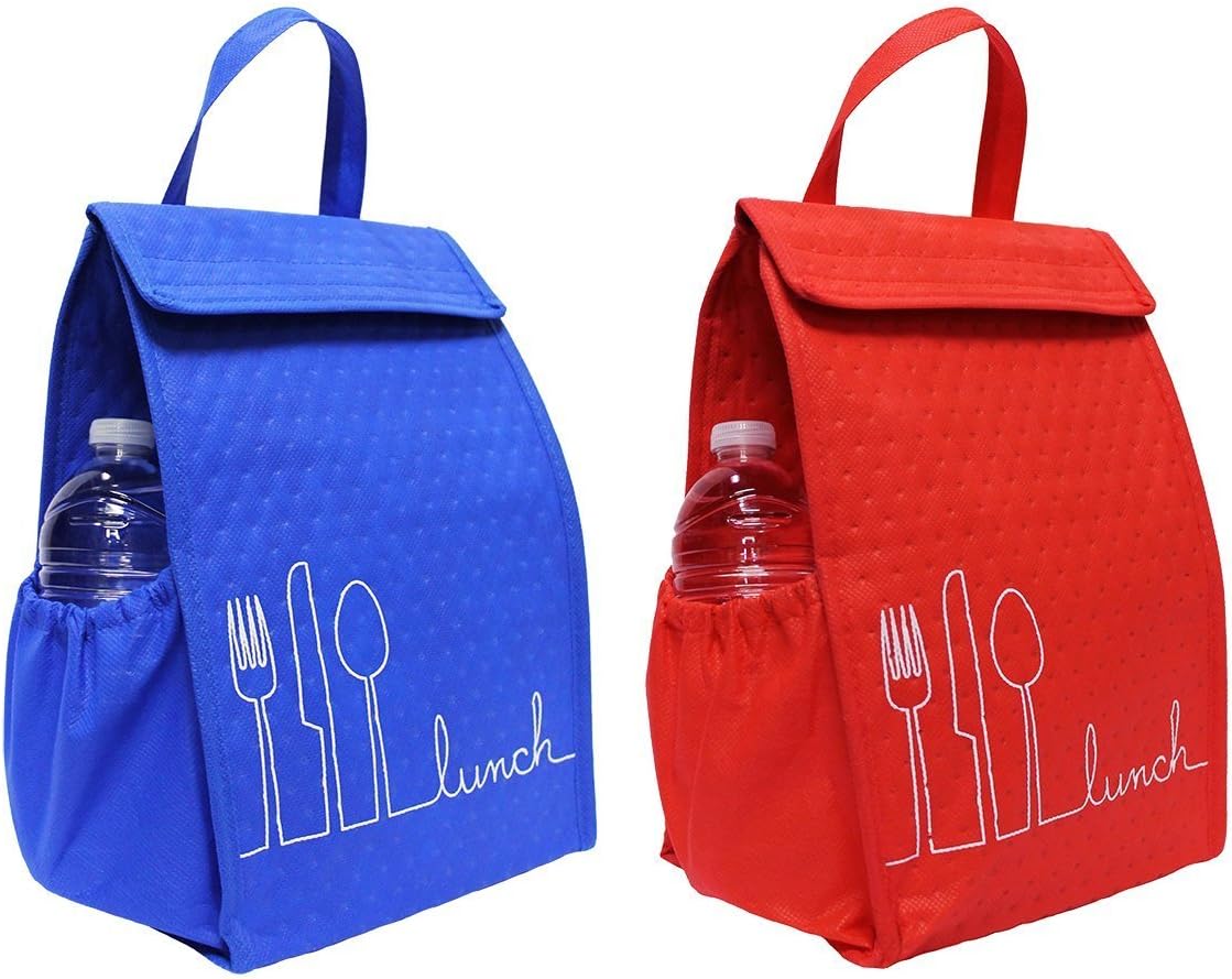 Earthwise Insulated Lunch Bag Tote Box Fully Lined