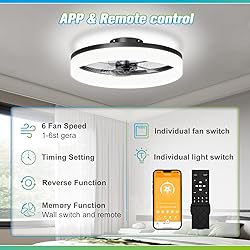 JOFIOS Ceiling Fans with Lights, 15.7in Black Flush