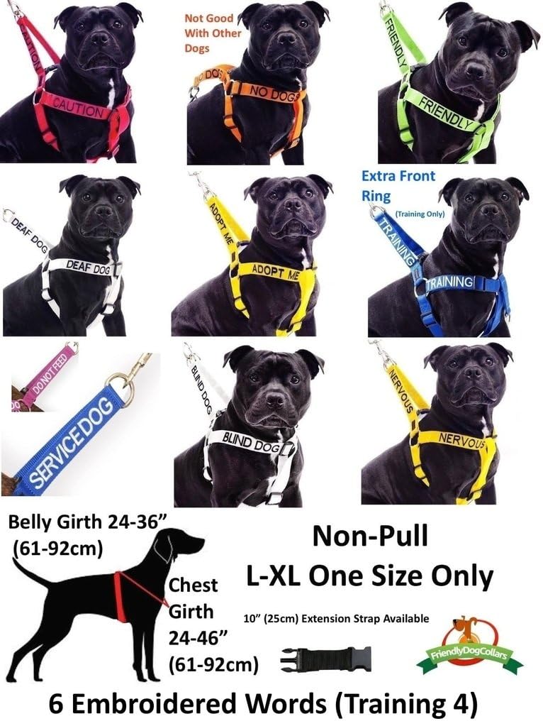 Dog collars for deaf dogs Clearance