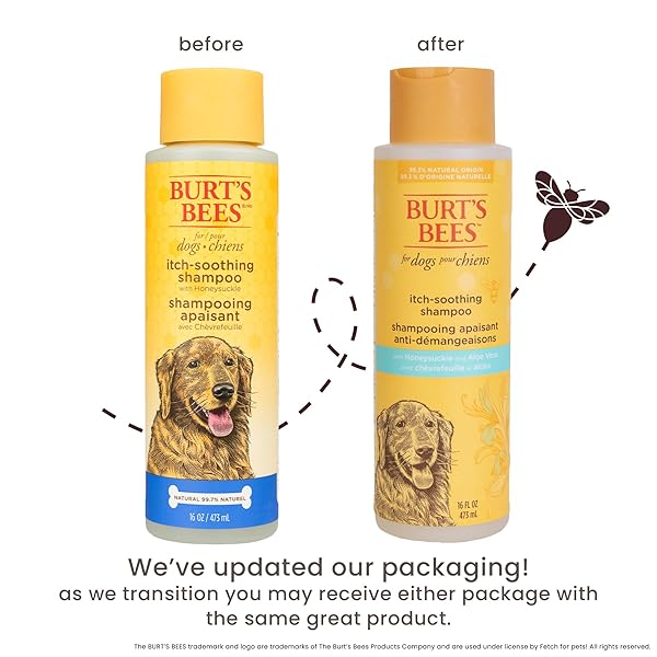 BURT’S BEES FOR PETS ITCH SOOTHING SHAMPOO WITH HONEYSUCKLE, 95% NATURAL ORIGIN FORMULAS, DOG SHAMPOO FOR ITCHY DOGS, DOG SHAMPOO ITCHY SKIN RELIEF, 16 OZ