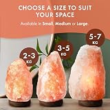 The Body Source Himalayan Salt Lamp 2-3kg with Dimmer Wooden Base view 5