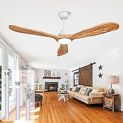 Ceiling Fans with Lights and Remote,60 Inch Unique