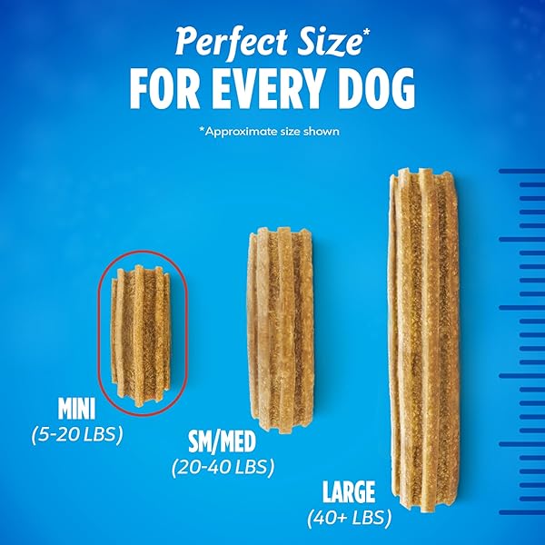 DENTALIFE DAILY ORAL CARE DOG TREATS FOR SMALL DOGS 5-20 LBS., CHEWY DENTAL TREAT TO FRESHEN BREATH AND FIGHT TARTAR, CHICKEN FLAVOR, 17.1 OZ., 58 CHEWS – 58 CT. POUCH