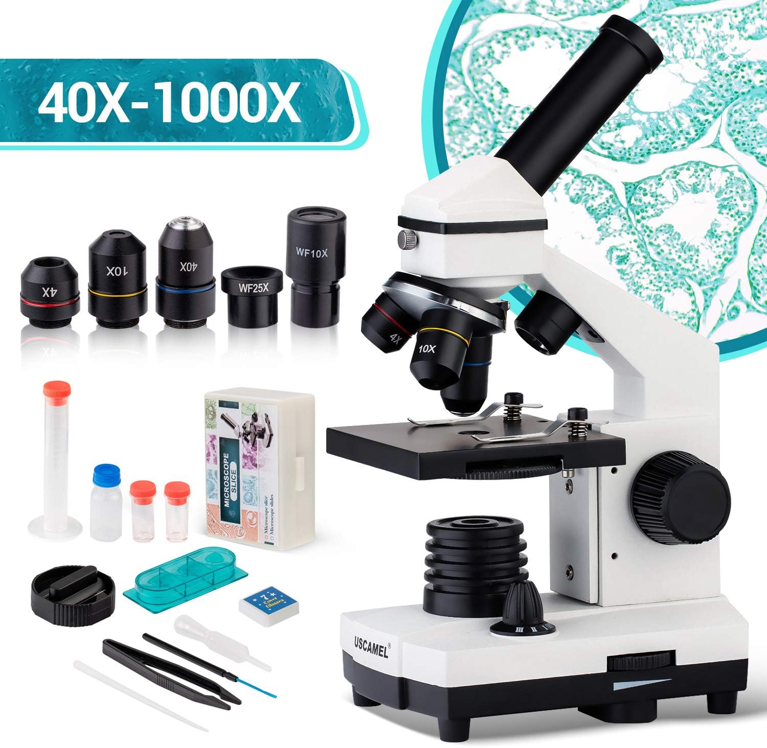 Microscopio de actualización 40X-1000X para niños, estudiantes y adultos, potente microscopio biológico para niños, para laboratorios escolares, hogar, investigación científica biológica