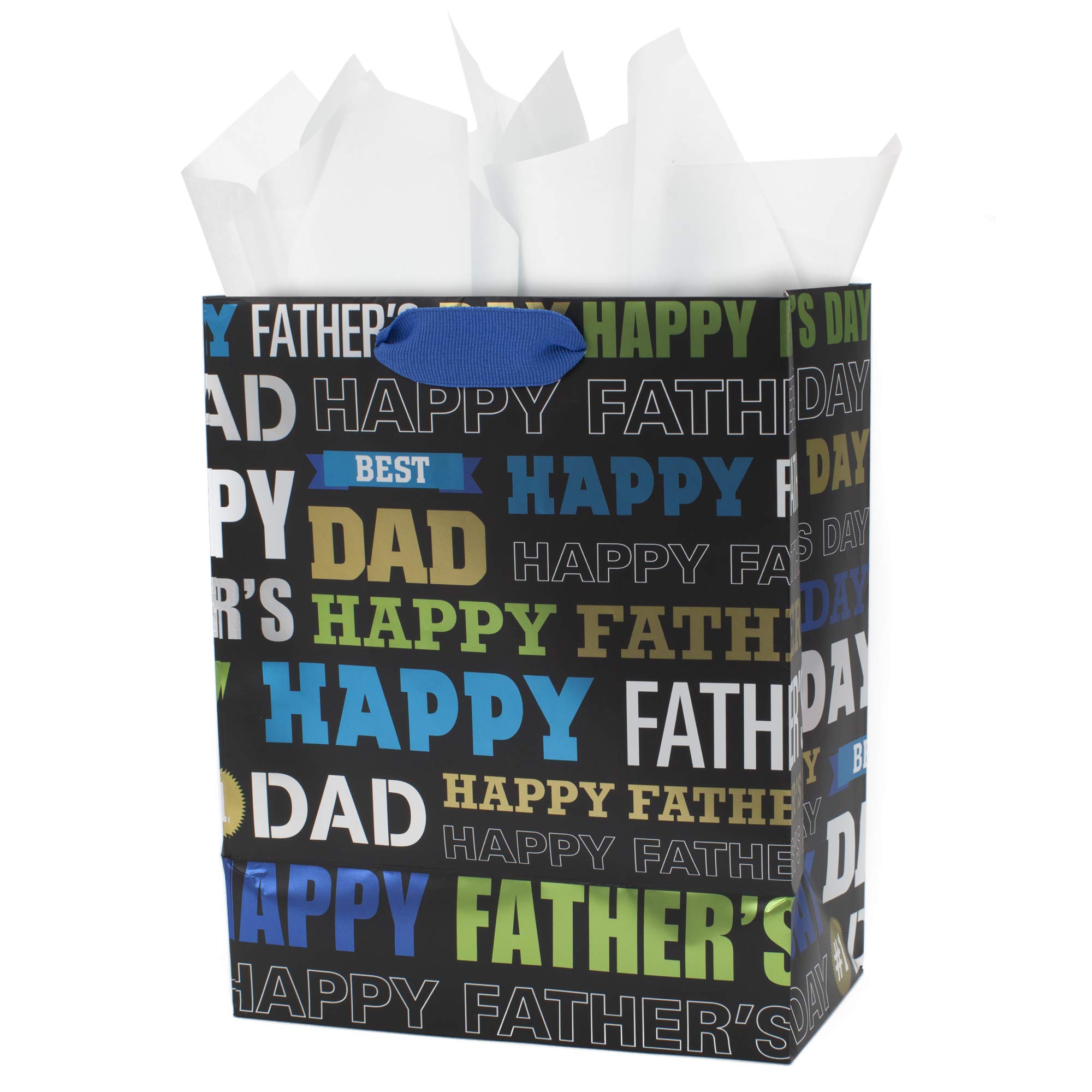 Hallmark 5KFB1580 Father's Day Gift Bag, Paper, Medium, Dad Words