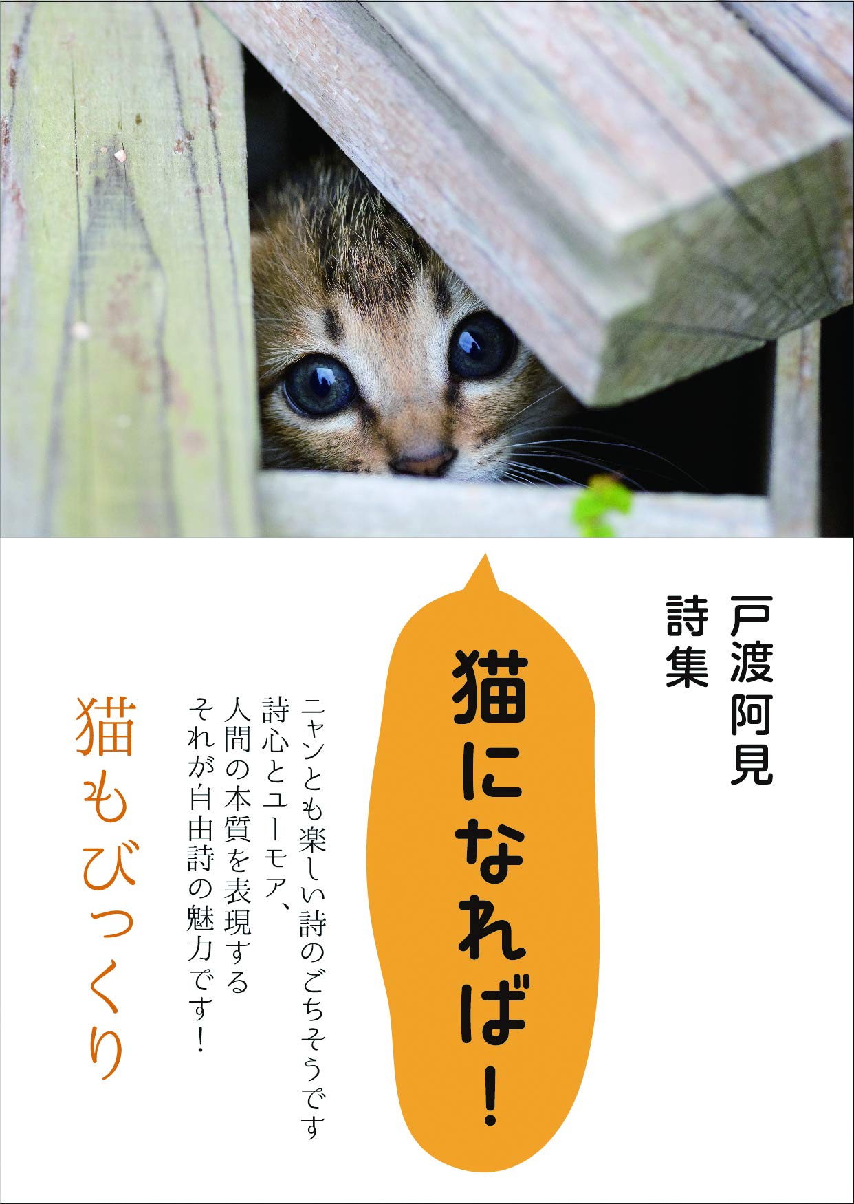 猫になれば! (戸渡阿見詩集)  深見東州 本  通販  Amazon