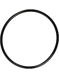 Pool Pump Replacement Parts & Accessories | Amazon.com