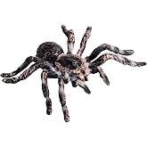 Realistic Giant Whiteknee Tarantula Figure, Lifelike Spider Model, 2 Pack | Spider Figure for Science Projects, Classroom Displays, Educational Activities, Nature Collections and Halloween Cake Decor