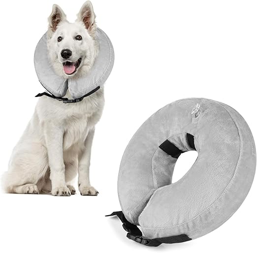 amazon e collar for dogs
