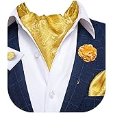 DiBanGu Mens Silk Ascot Ties Paisley Jacquard Woven Cravat and Pocket Square Cufflinks with Lapel Pin for Business Wedding