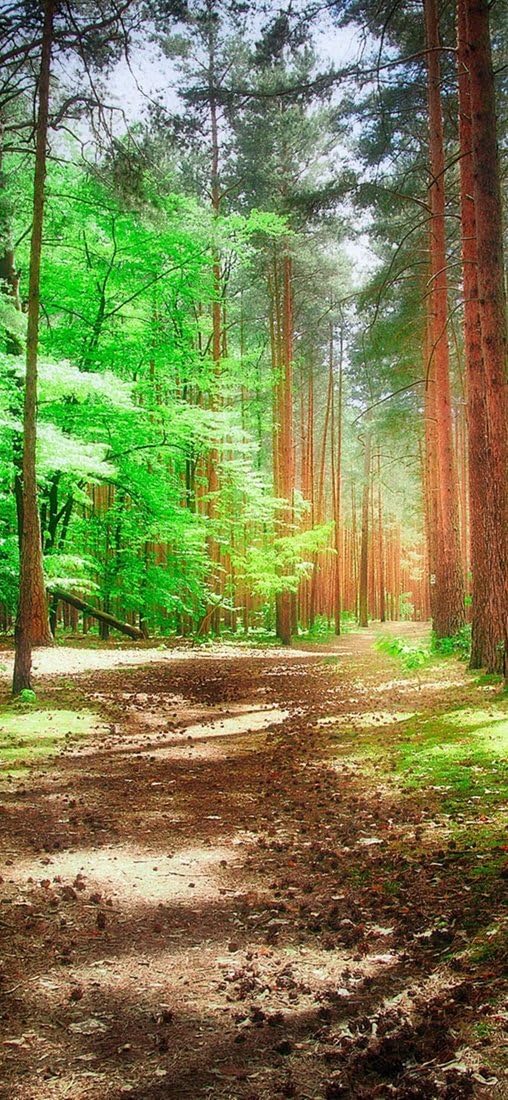 PeelitStickit, Beautiful Landscapes Wall Murals, ID-226, vinyl, Multi-colour
