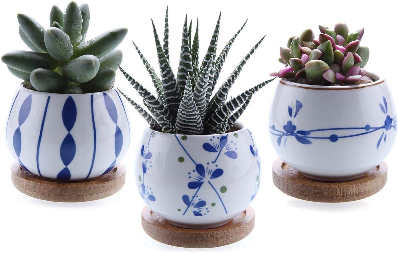 T4U 7cm Pot de Cactus Succulentes en Céramique Pots de Fleurs Bacs à