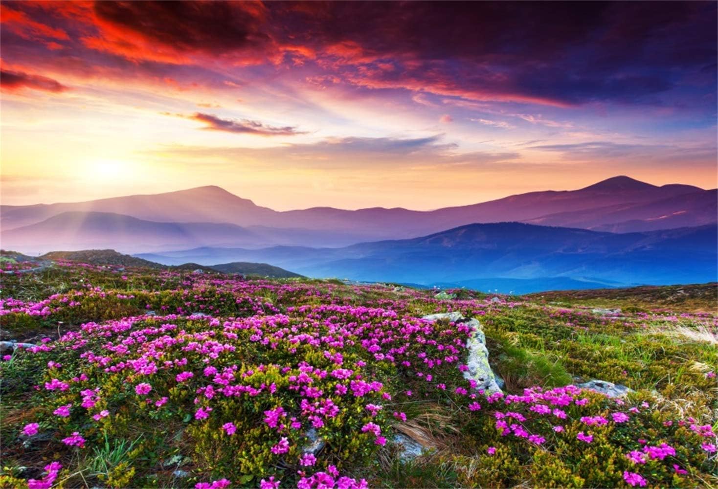 Amazon.com : LFEEY 5x3ft Sunshine Snow Mountain View Purple Flowers Background for Photography ...