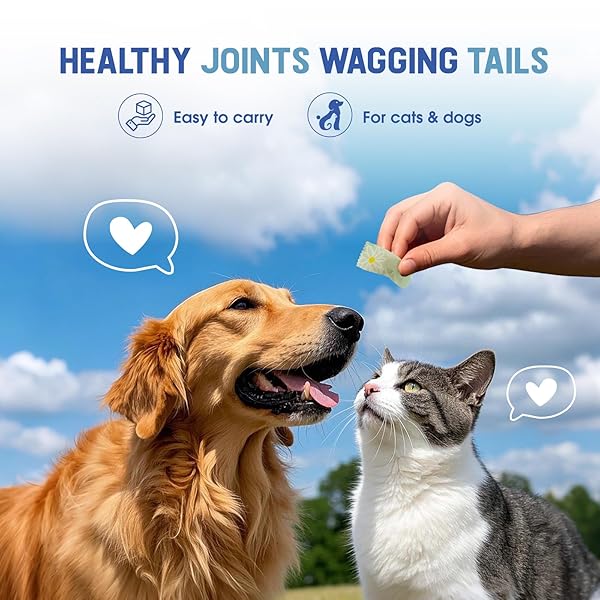 UPGRADE DOG HIP AND JOINT SUPPLEMENT, 60 SOFT CHEWS, HIP AND JOINT SUPPLEMENT WITH MSM, GLUCOSAMINE, CHONDROITIN, TURMERIC, PROMOTES JOINT HEALTH & PAIN RELIEF FOR ALL DOG & CATS, CHICKEN FLAVOR