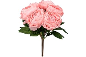 Softflame Artificial/Fake/Faux Flowers - Peony Pink 6PCS for Wedding, Home, Party, Restaurant (850916)