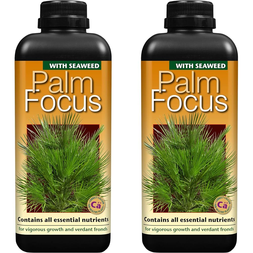 Growth Technology Ltd,1L,Black Palm Focus 1 Litre (Pack of 2)