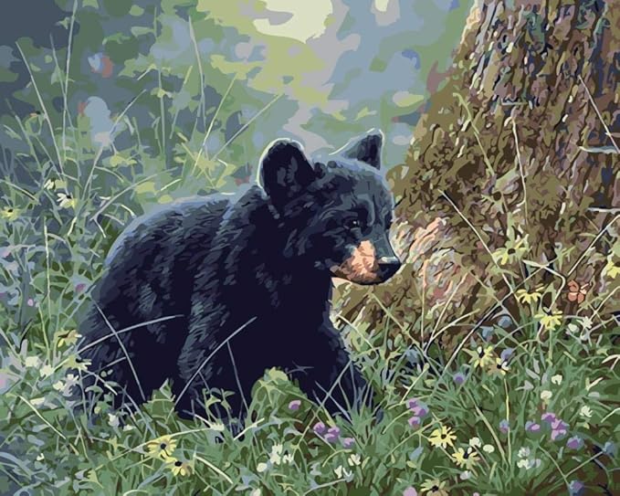 Malen nach Zahlen,Dschungel-Schwarzbär Erwachsene, Kinder, Anfänger