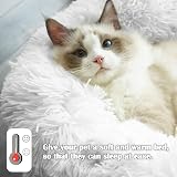 Nepfaivy Calming Dog Cat Donut Bed 15.75in Fluffy Round Plush Bed White view 4