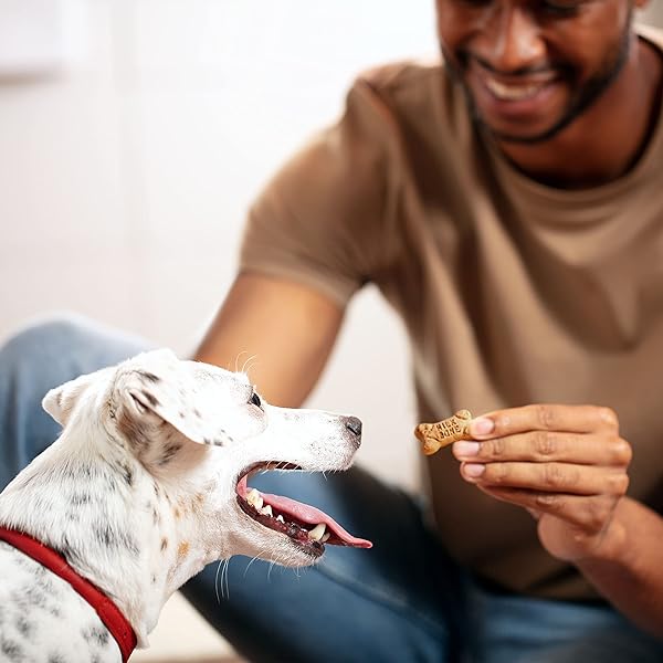 MILK-BONE FLAVOR SNACKS MINI’S DOG BISCUITS, FLAVORED CRUNCHY DOG TREATS, 36 OZ. CANISTER