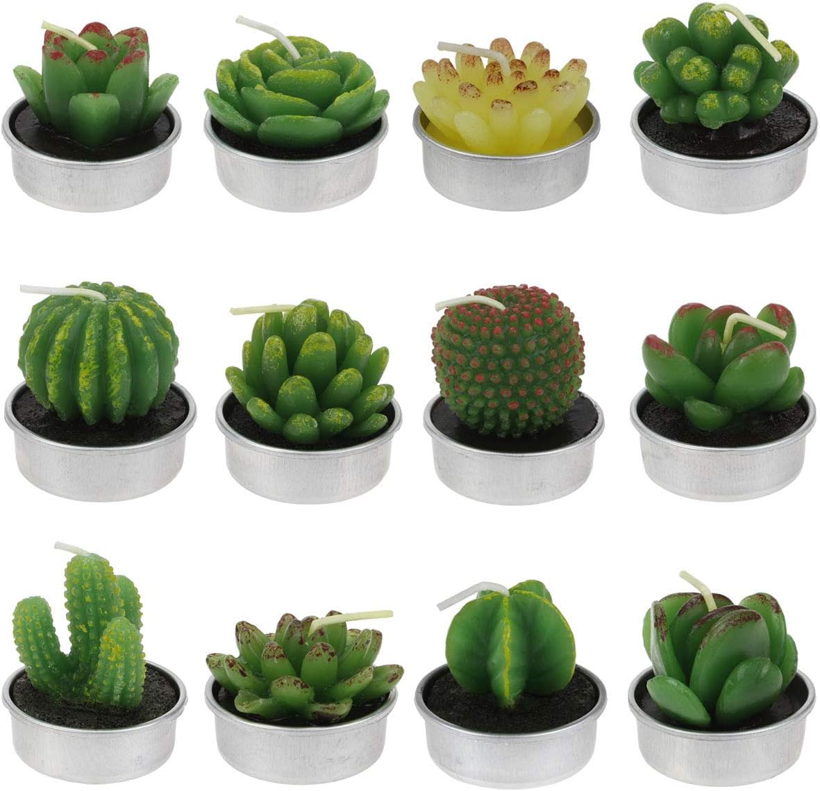 Hysagtek 12 Pcs Cactus Tealight Candles Cute Mini Succulent Plants Candles for Birthday Christmas Festival Party Wedding Spa Home Decoration Gifts, 12 Styles