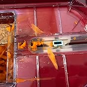 Amazon.com: Dash Electric Mandoline & Food Slicer, White: Kitchen & Dining