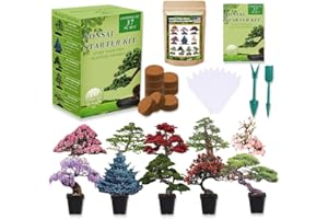 Bonsai Tree Seeds Kit 10 Popular Varieties Soil Pots Plant Markers Bonsai Starter Kit with Grow Guide