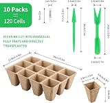 KINGLAKE 10 Pack Seed Trays 12 Cells Biodegradable Paper Pots Garden Kit view 2