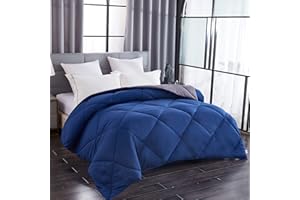 Gehannah All Season Comforter Queen Blue Down Alternative Quilted Comforter Comfortable Sleep Bedding Comforters Winter Warmt