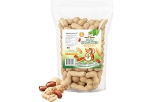 Sneaky Mango Premium Quality Raw Peanuts in Shell - 1 Pounds – All-Natural Food for Squirrels, Deer, Birds, and Other Wildlife Animals – Grown in The USA for Healthy Nutrition