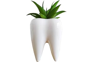 Cuteforyou 3.95 inch Cute Tooth Shaped Ceramic Succulent Cactus Flower Pot-Plants Not Included (White)