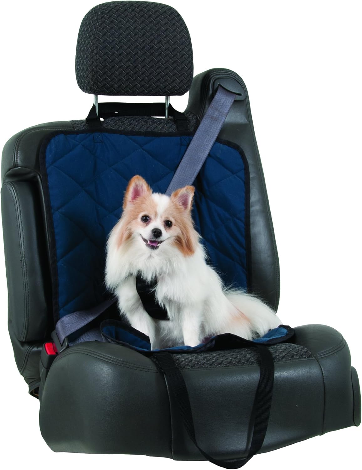 petmate seat belt clip tether