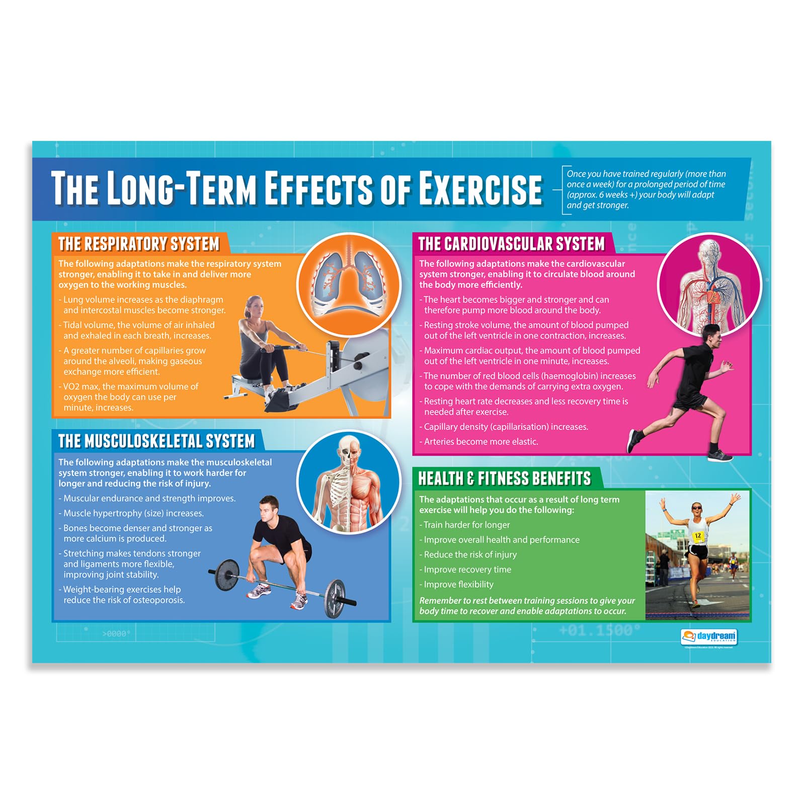Daydream Education The Long-Term Effects of Exercise | PE Posters | Gloss Paper measuring 850mm x 594mm (A1) | Physical Education Charts for the Classroom | Education Charts