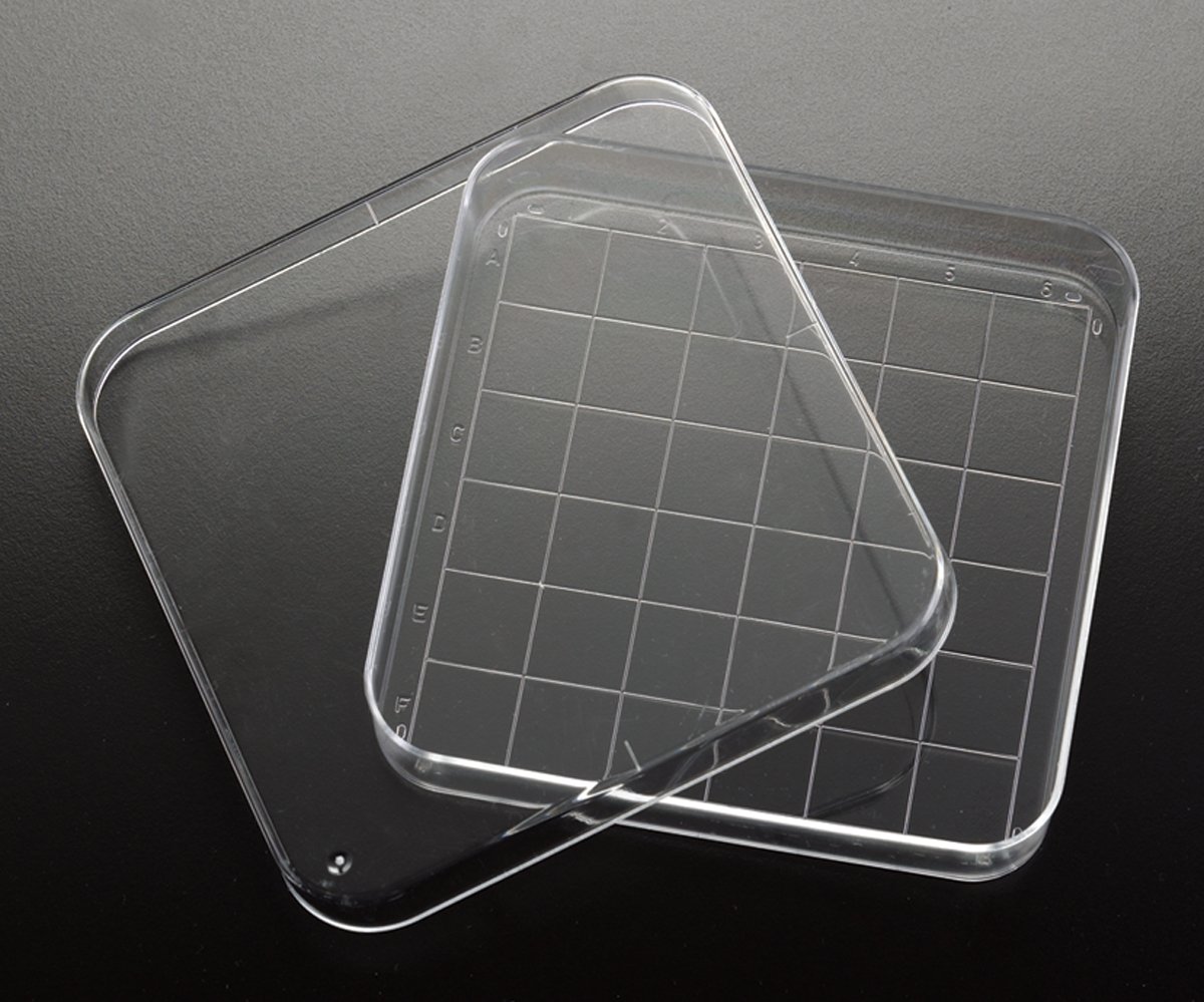 Simport D21016 Polystyrene Square Petri Dish with Grid, Sterile, 110ml