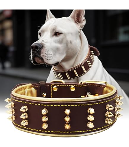 Amazon.com : BAOBOTE Gold Chain Dog Collar with Secure Snap Buckle