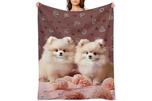 Pomeranians Puppies and Point Flannel Throw Blanket Super Soft Lightweight Throw Blanket Fuzzy Comfy Flannel Blankets Warm Pl
