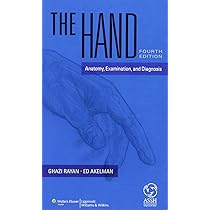 THE HAND Second Edition 医学書　洋書　外科 THE HAND Second Edition 医学書洋書外科形成外科