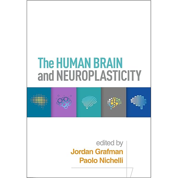 The Playful Brain: Venturing to the Limits of Neuroscience: Pellis