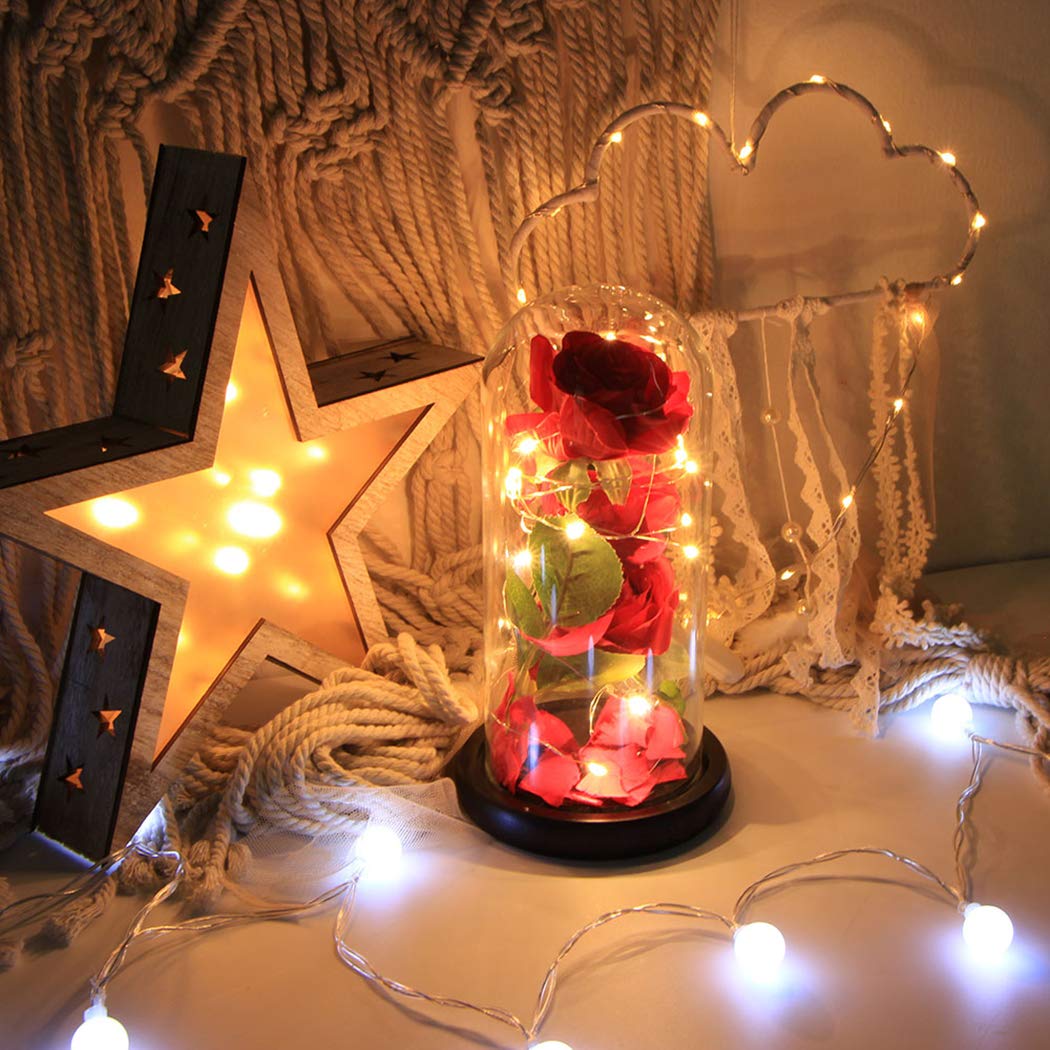 Beauty and The Beast,FunPa 3PC Forever Flower and Warm White LED Light with Fallen Petals in Glass Dome on a Wooden Base Best Gift for Valentine\'s Day Birthday Anniversary Valentine\'s Day