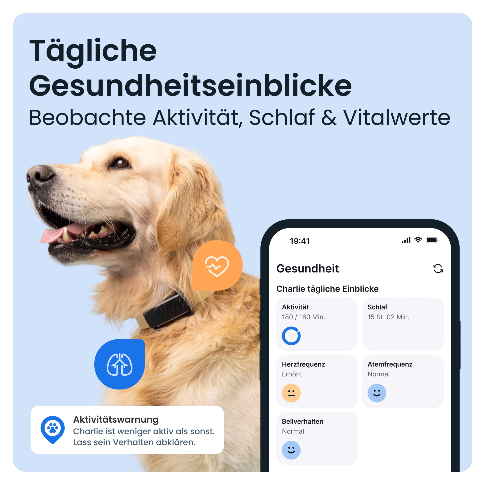 Tractive GPS Tracker Hund | 2025 Edition | Live-Ortung | Weglaufalarm | Aktivitätstracking | Gesundheitswarnungen | Bellverhalten | Empfohlen von Martin Rütter (Schwarz) 3