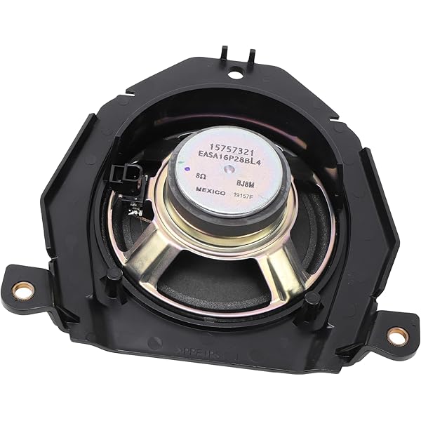 Amazon.com: ACDelco GM Genuine Parts 15038566 Front Door Radio 