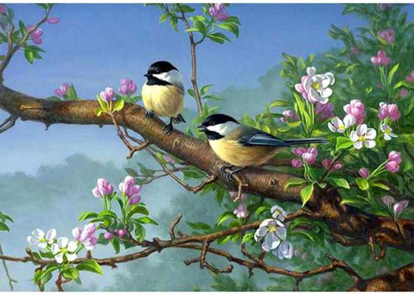 Bimkole 5D Diamond Painting Kits for Adults Bird Full Drill Flower Grass DIY Rhinestone Embroidery Set Paint with Diamonds Art by Number Kits Cross Stitch Home Wall Craft Decoration (12x16inch)