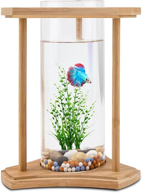 Unique Design Desktop Fish Tank Bamboo Segarty Small Fish Bowls