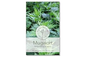 Gaea's Blessing Seeds - Mugwort Seeds - Non-GMO Seeds with Easy to Follow Planting Instructions - Open-Pollinated High Yield Heirloom