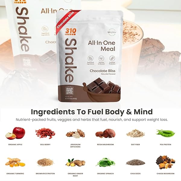 310 NUTRITION ALL-IN-ONE MEAL REPLACEMENT SHAKE-SUPERFOOD PROTEIN WITH FIBER, PROBIOTICS & ADAPTOGENS – LOW CARB, VEGAN, KETO & PALEO FRIENDLY –𝟭𝟰 𝗦𝗲𝗿𝘃𝗶𝗻𝗴𝘀 𝗖𝗵𝗼𝗰𝗼𝗹𝗮𝘁𝗲 𝗕𝗹𝗶𝘀𝘀