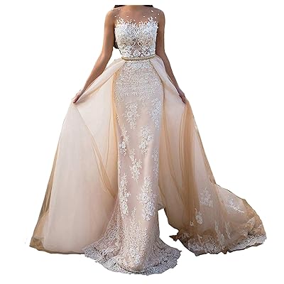 Aries Tuttle Detachable Train Champagne Appliques Dominican Republic | Ubuy