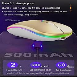 Guiheng Wireless Bluetooth Mouse,LED Dual Mode