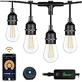 Outdoor String Lights – Patio Lights 98 Ft LED, Smart Warm White String Lights by 2.4G Wi-Fi App & Alexa, 30 Bulbs…