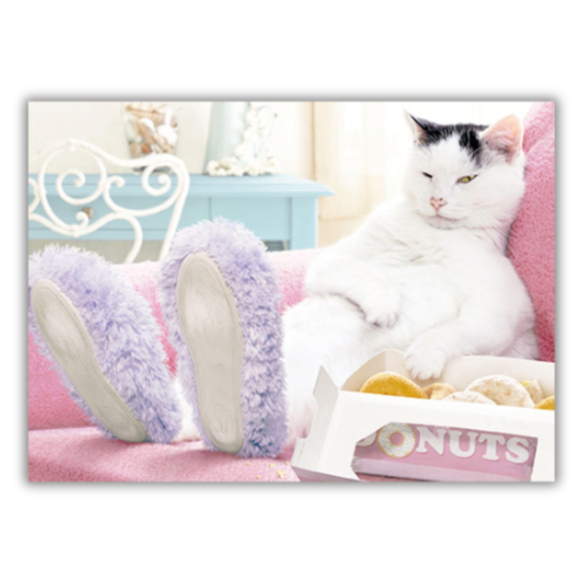 GBCC Funny Birthday or All-Occasion Card - Amusing Cat Chilling on Sofa Design - Blank Inside - For Women - Animal Greeting Card